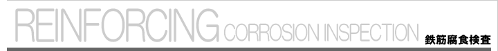 REINFORCING CORROSION INSPECTION Ŵ���忩����