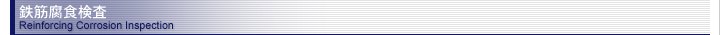 Ŵ���忩���� Reinforcing Corrosion Inspection